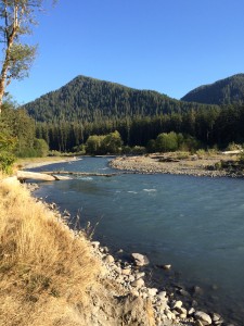 The Hoh River